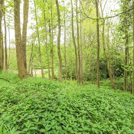 Bolton * Appleby-in-Westmorland